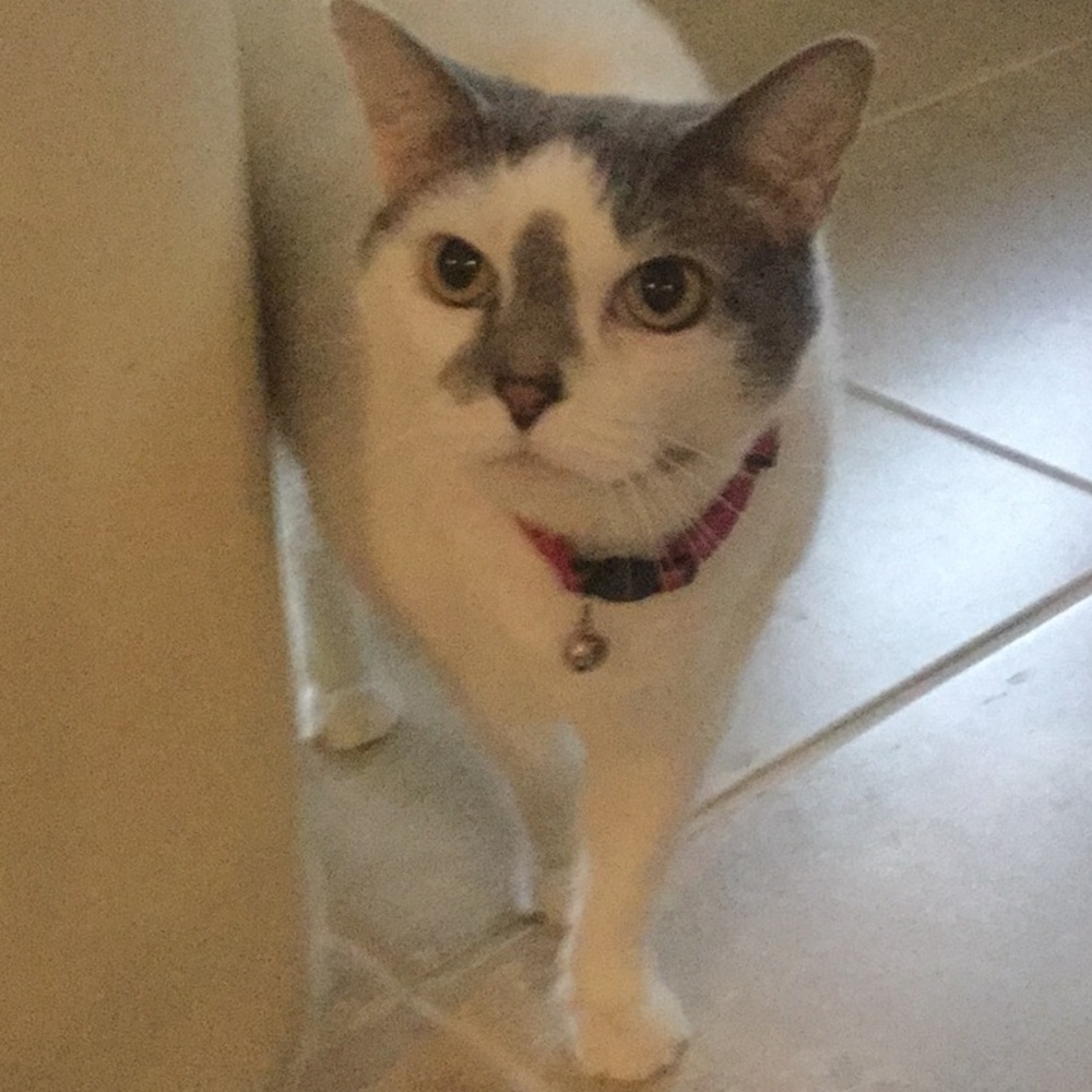 Meet your Posher, Rebecca